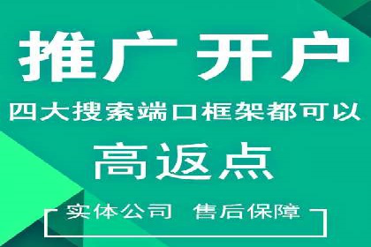 SEM托管公司案例：优化与增长